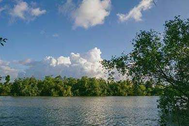 开拓者队新秀表现惊艳，开拓者队阵容名单最新