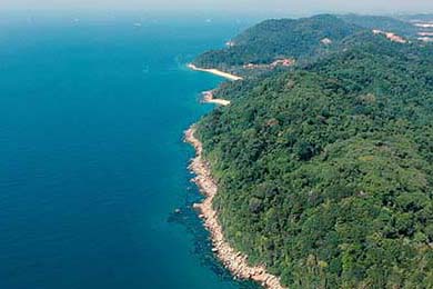 开拓者队新秀表现惊艳，开拓者队阵容名单最新