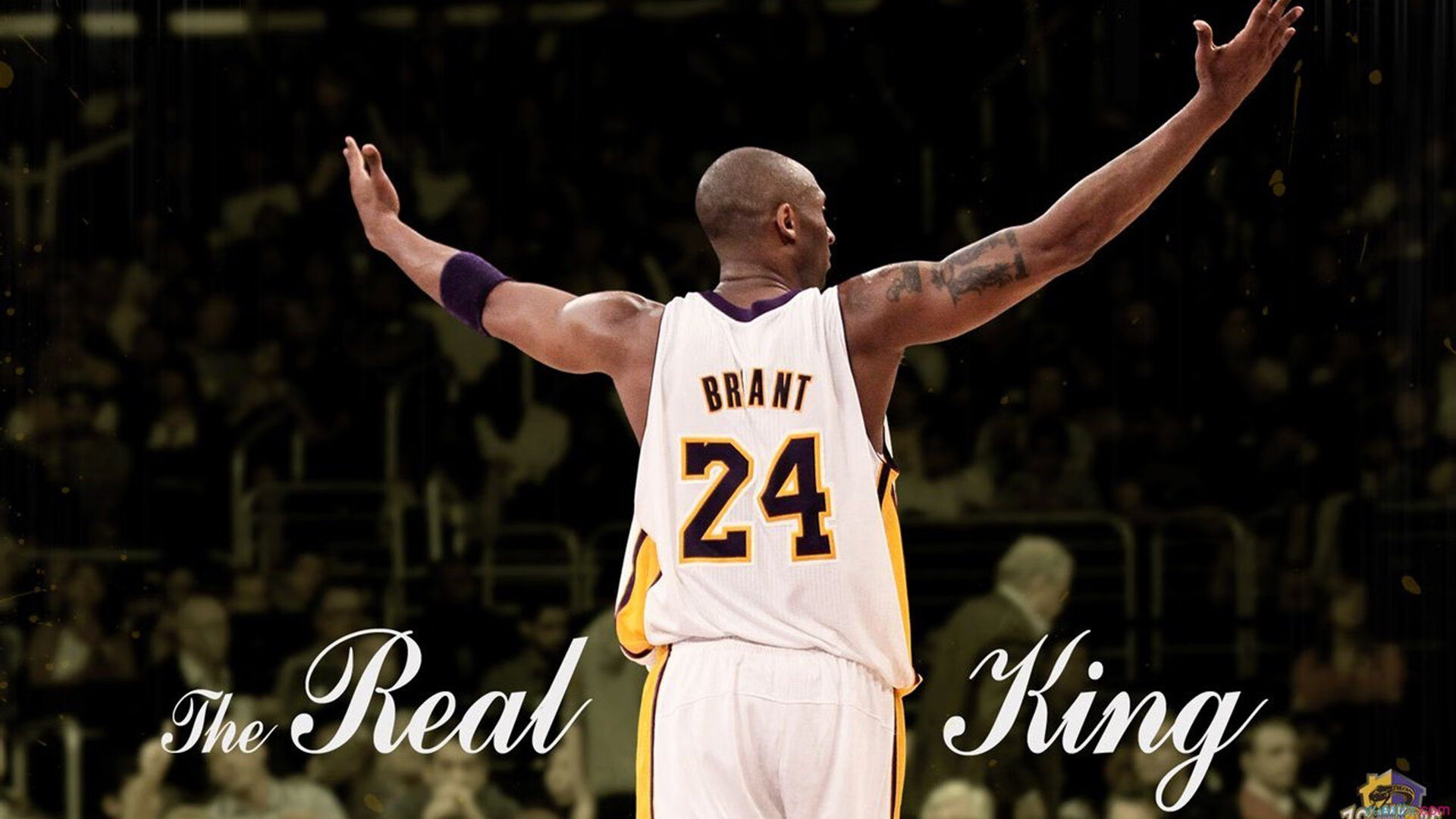 对比分析：传统赛制与创新玩法的优劣，各类创新赛事如火如荼